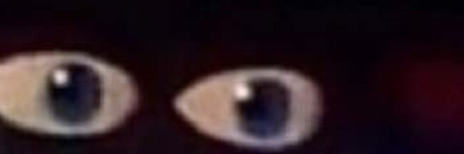 MagicMonk3y69's profile banner image