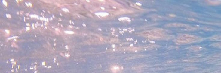 hayley👱🏼‍♀️ banner