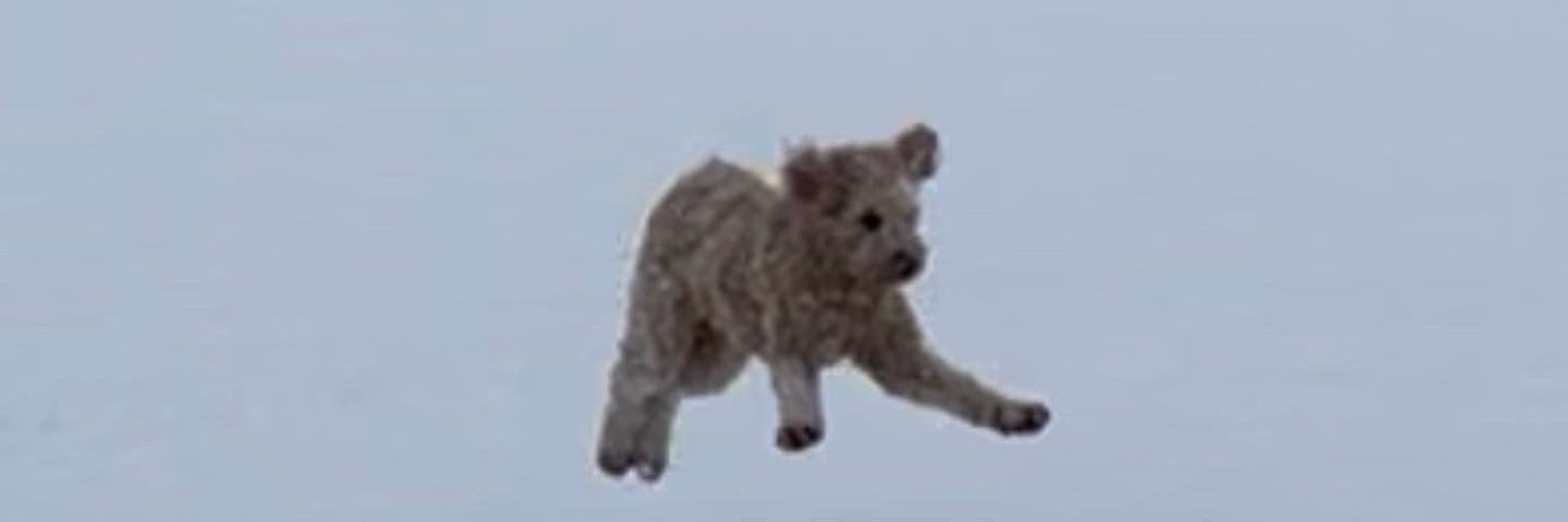 emfenner's profile banner image