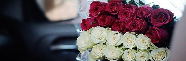 Saf_Abdullah1's profile banner image