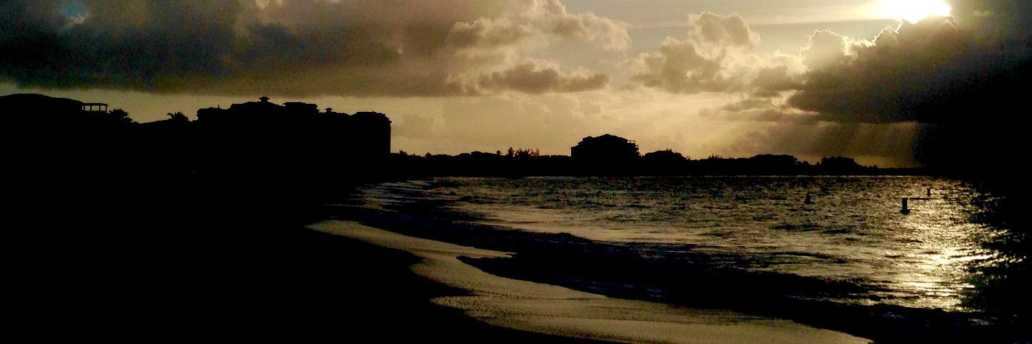 joecapozzi1's profile banner image