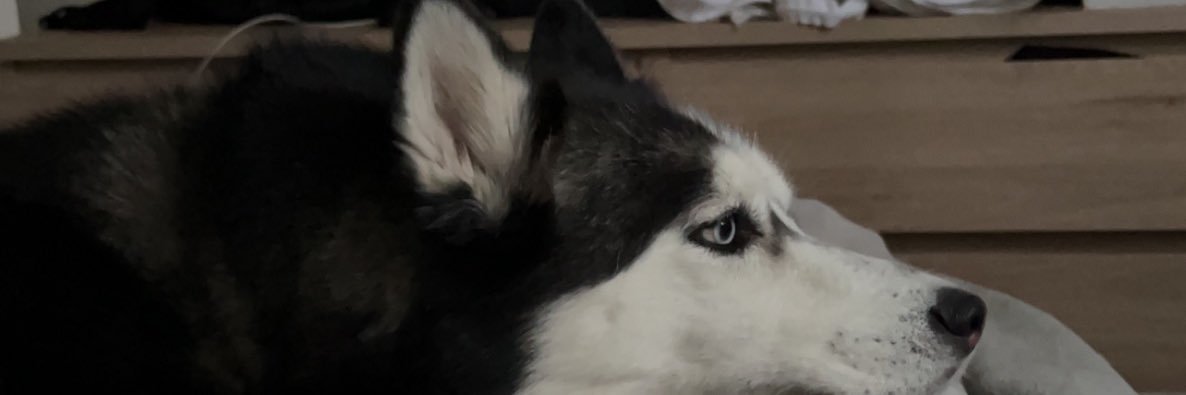 NadiaPanetta's profile banner image