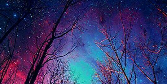 lovelife200071's profile banner image