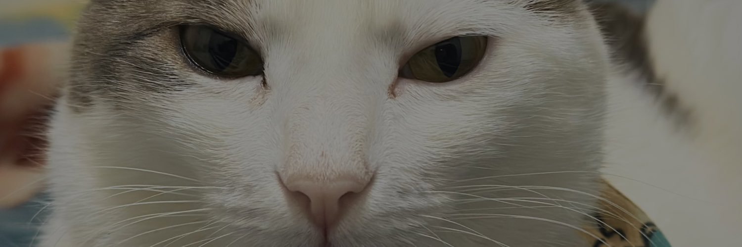 yusezz's profile banner image