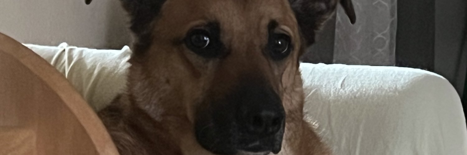 deeohlow's profile banner image