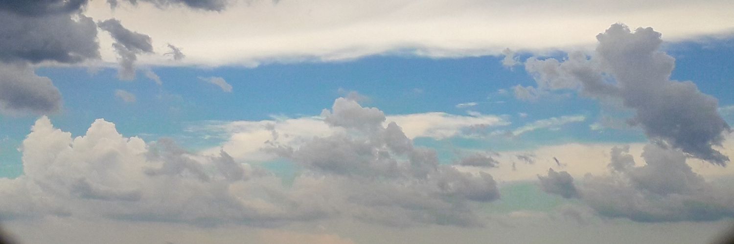 datselenophile's profile banner image