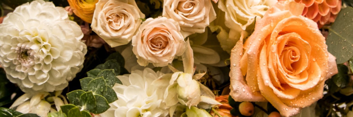 stillnotakia's profile banner image