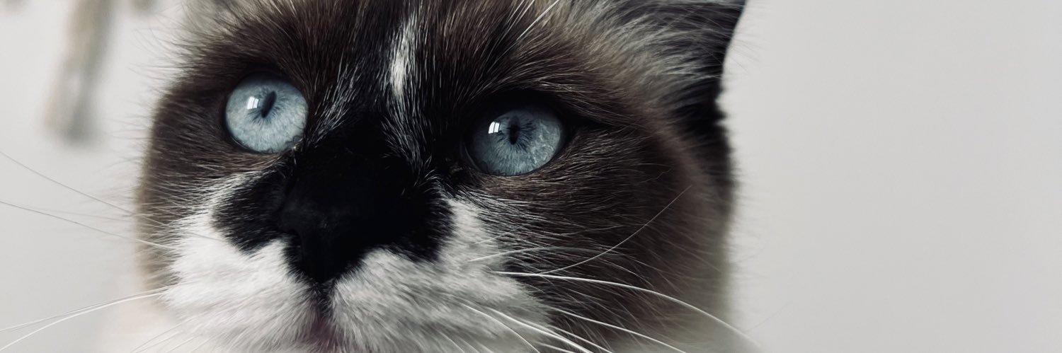 ManuPortas_'s profile banner image