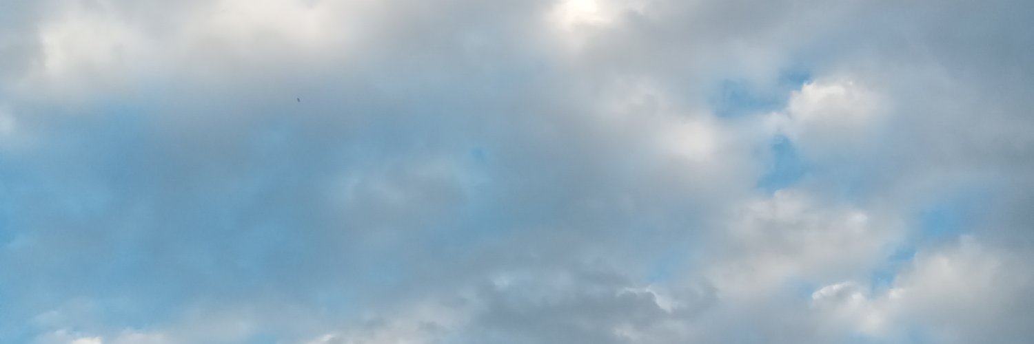 Muchacha banner