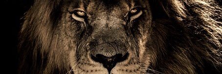JohnRansomiii's profile banner image