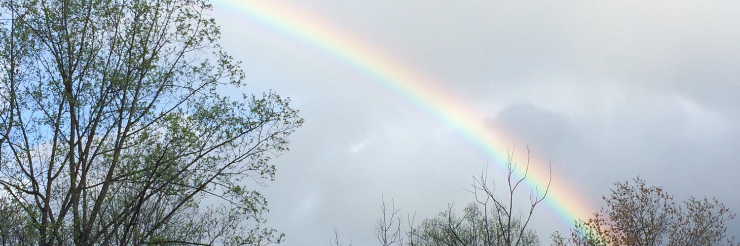 Circle Up Consulting banner