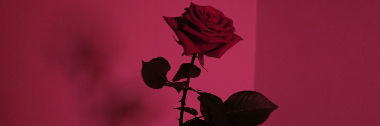 spideybatss's profile banner image