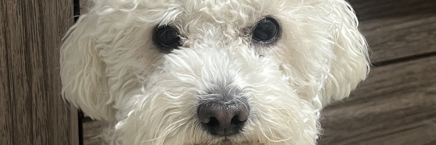 SolRamirezz27's profile banner image
