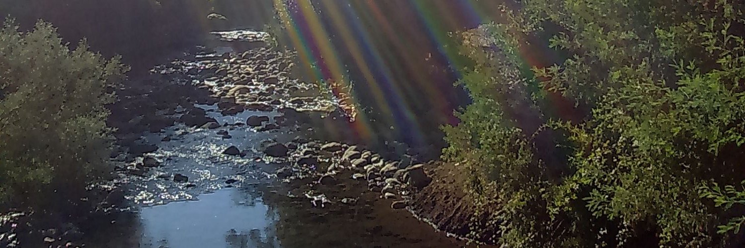 hildapacheco's profile banner image