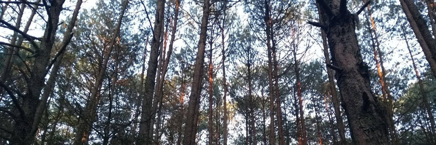 Bren_MoraTell's profile banner image