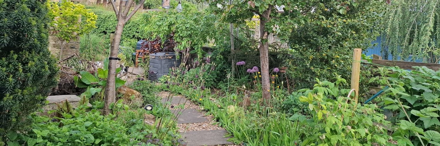 Jane Thistlethwaite banner