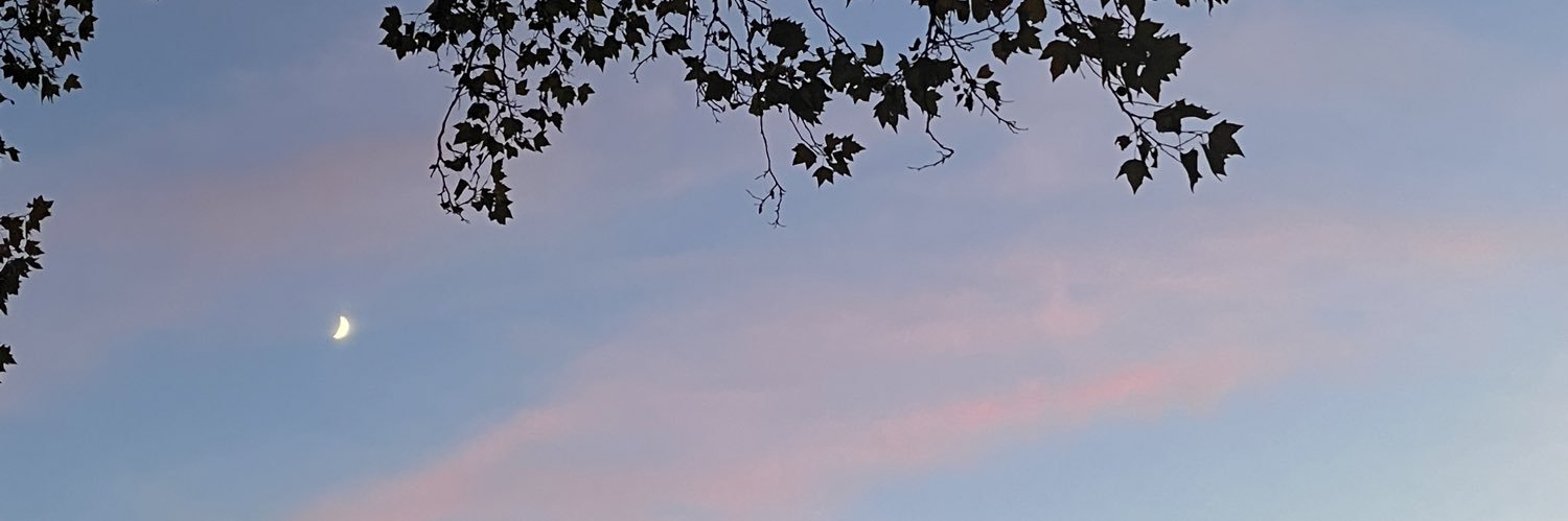 _Daniela0308's profile banner image