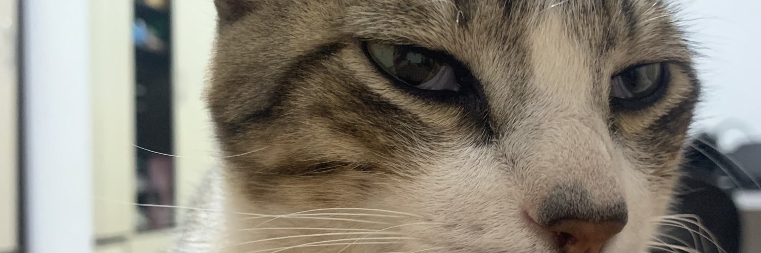 juliaaaoliv's profile banner image