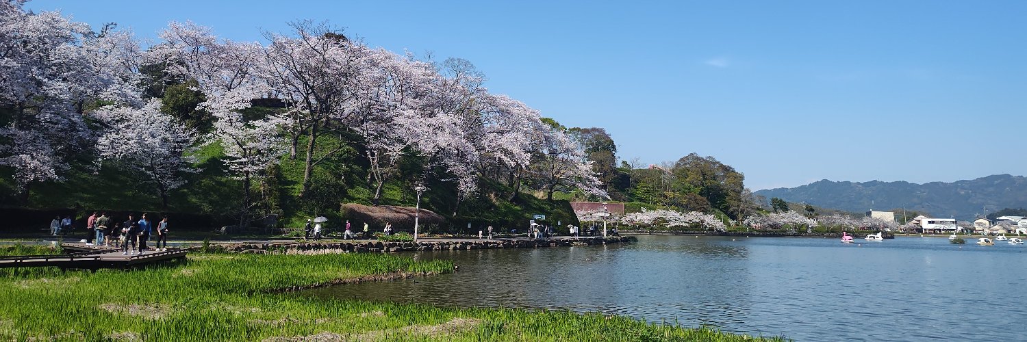 shinjk's profile banner image