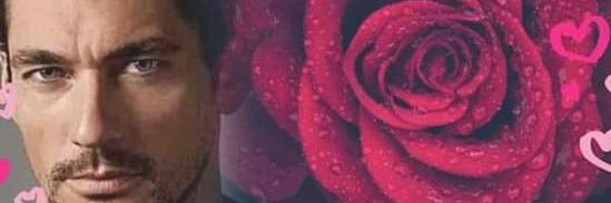 Patricia 🛡️⚔️🗝️ banner