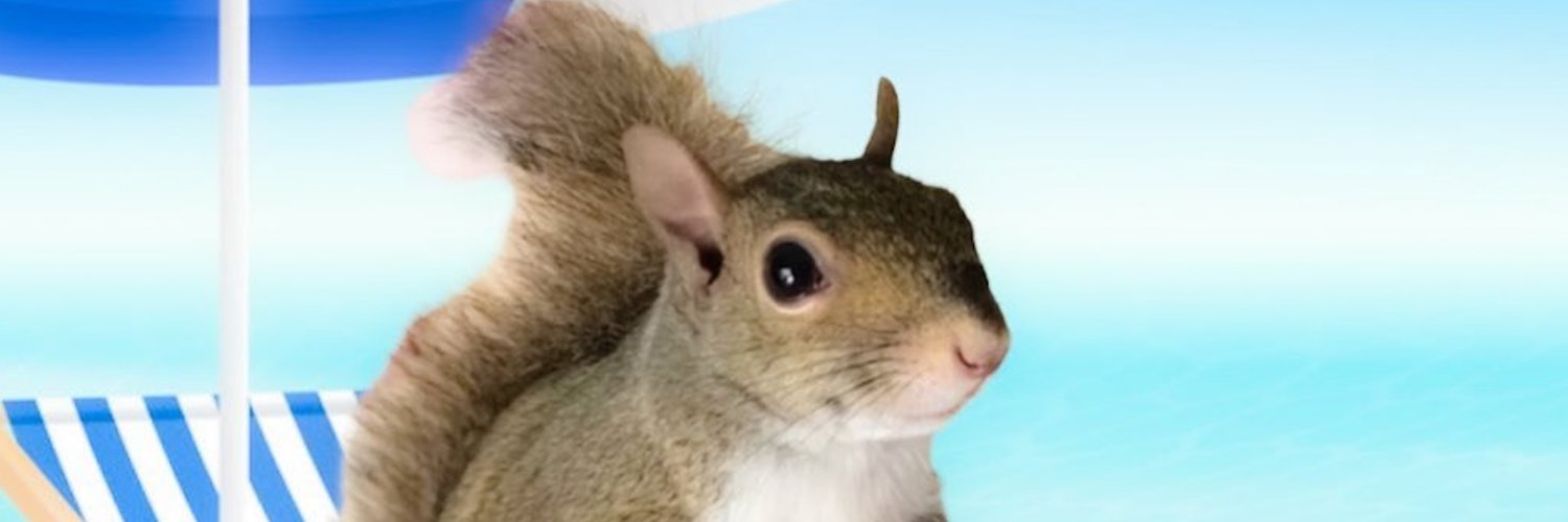 BabyPipSquirrel's profile banner image