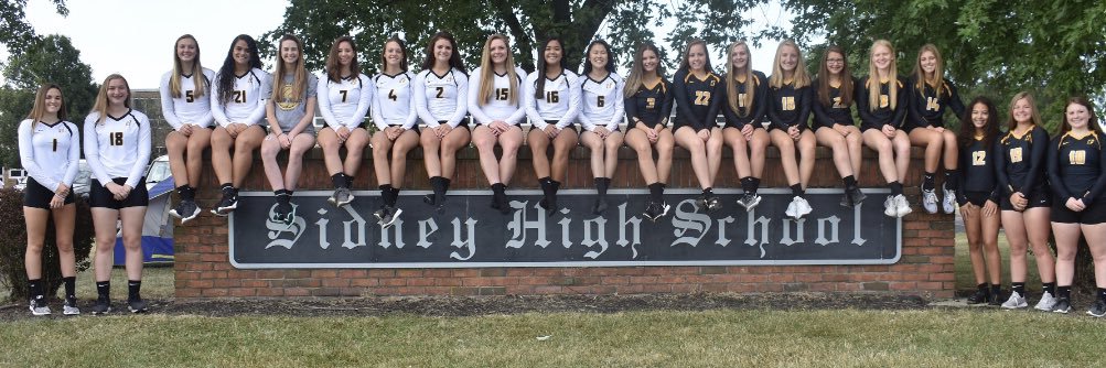 Sidney Volleyball banner