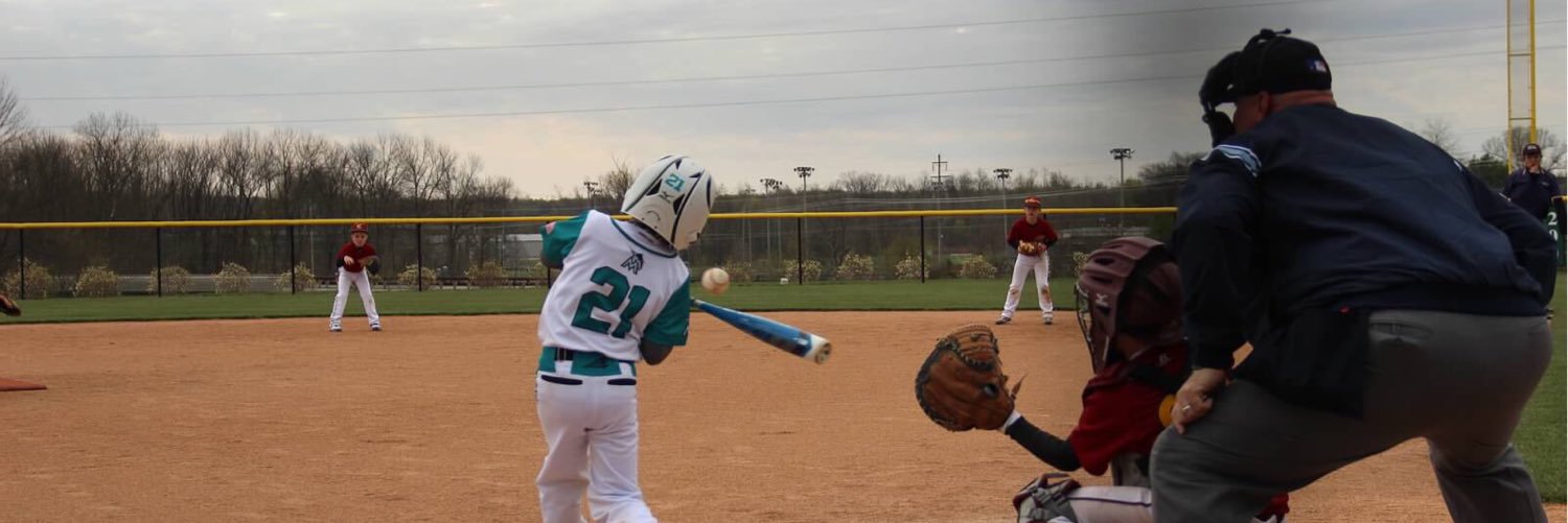 BaseballMom212's profile banner image