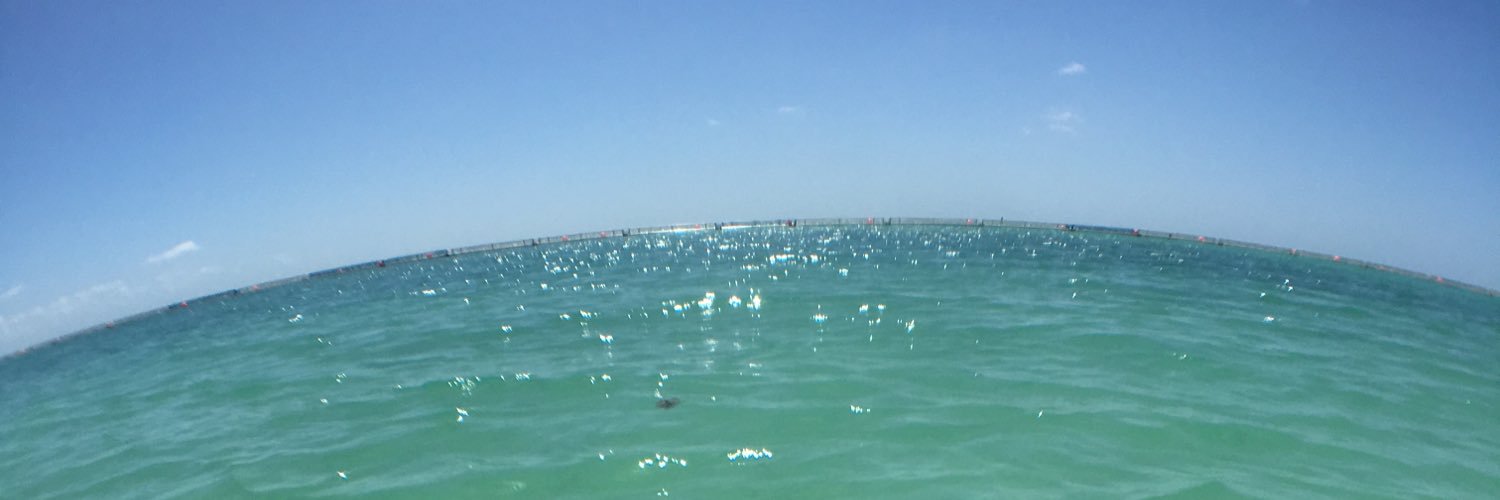 Nick Barthold banner