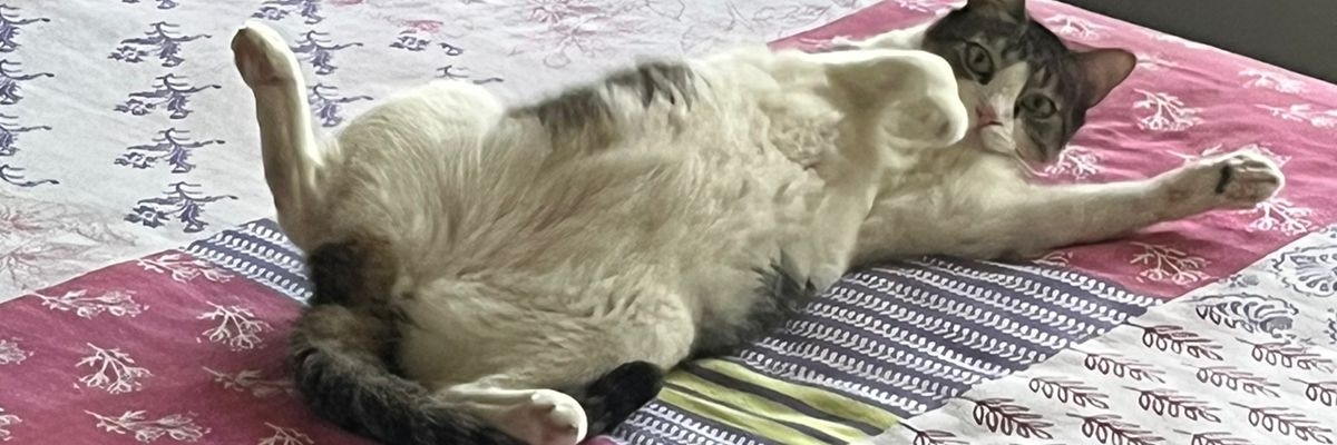 Macn_12's profile banner image