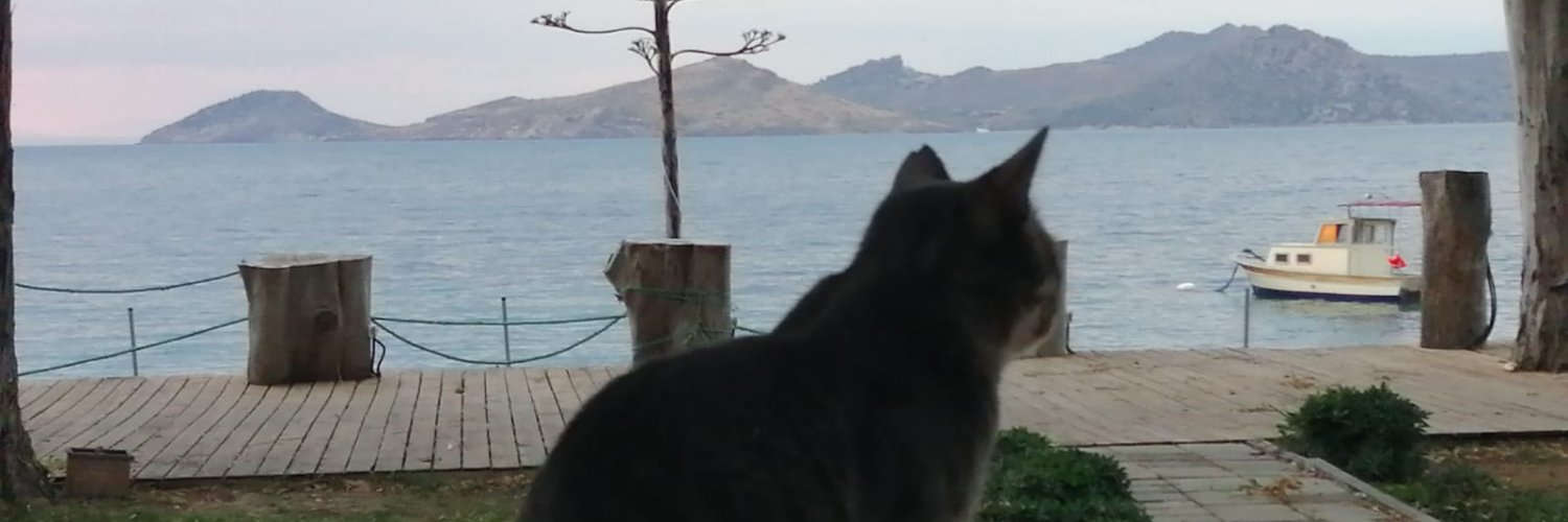 FulyaAlikoc's profile banner image