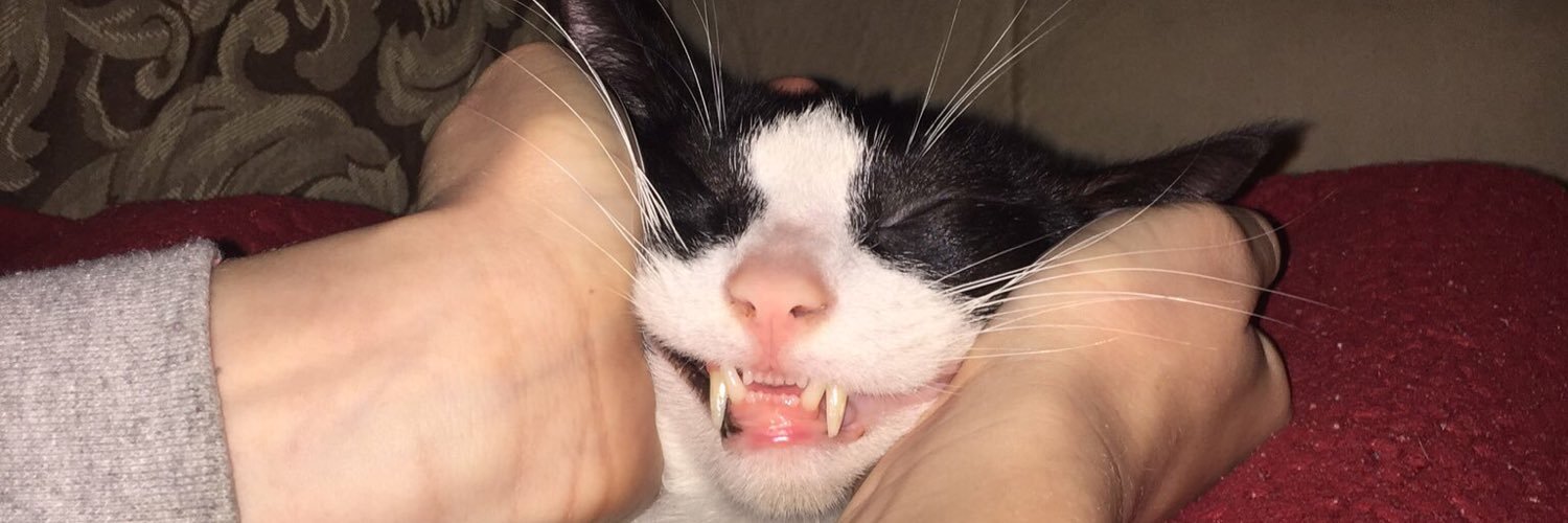 macee_facee's profile banner image