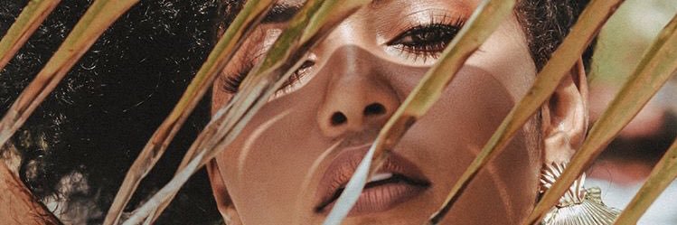 Elisa_Torriente's profile banner image