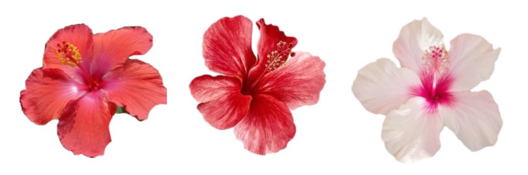 Anapat 🩷 banner