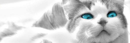 AlisiaBatts's profile banner image