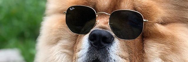 Blontasticsman's profile banner image