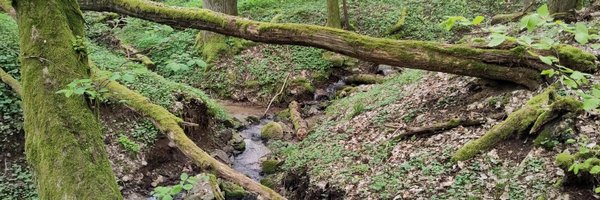 RolKraemer Profile Banner