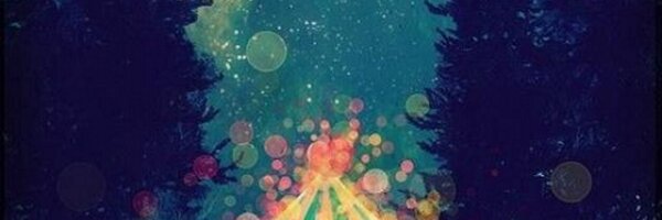 sophiewiesner Profile Banner