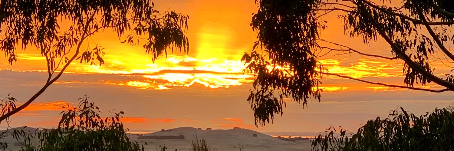 Mary Alexander banner