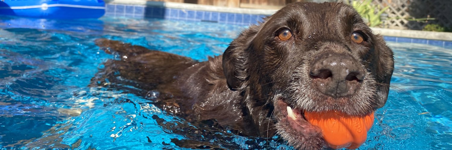 Daniel Ketchell banner