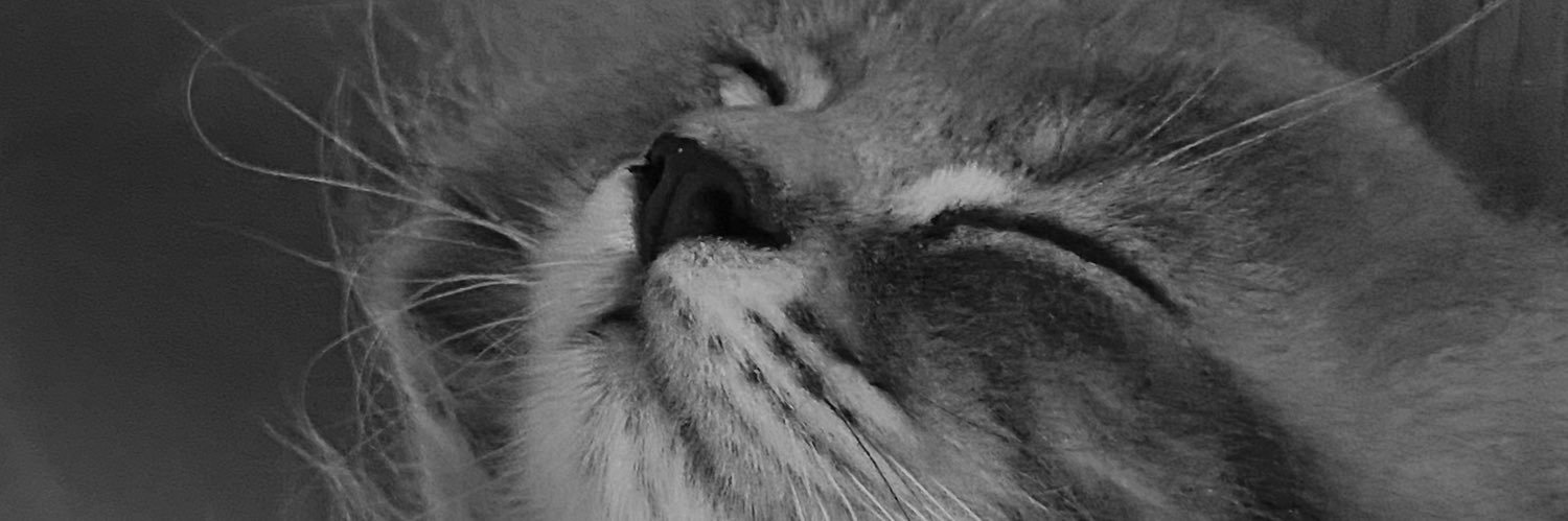 kevinaldrin542's profile banner image