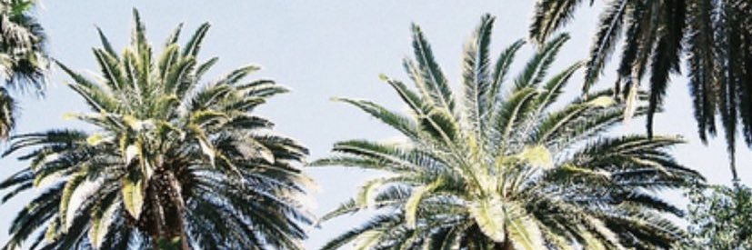 BoxStateK's profile banner image