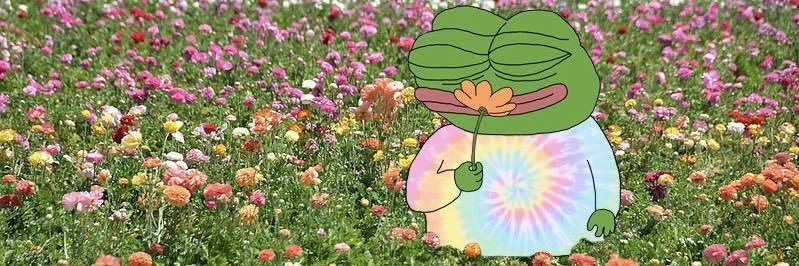 LITTLE☀️SUNSHINE banner