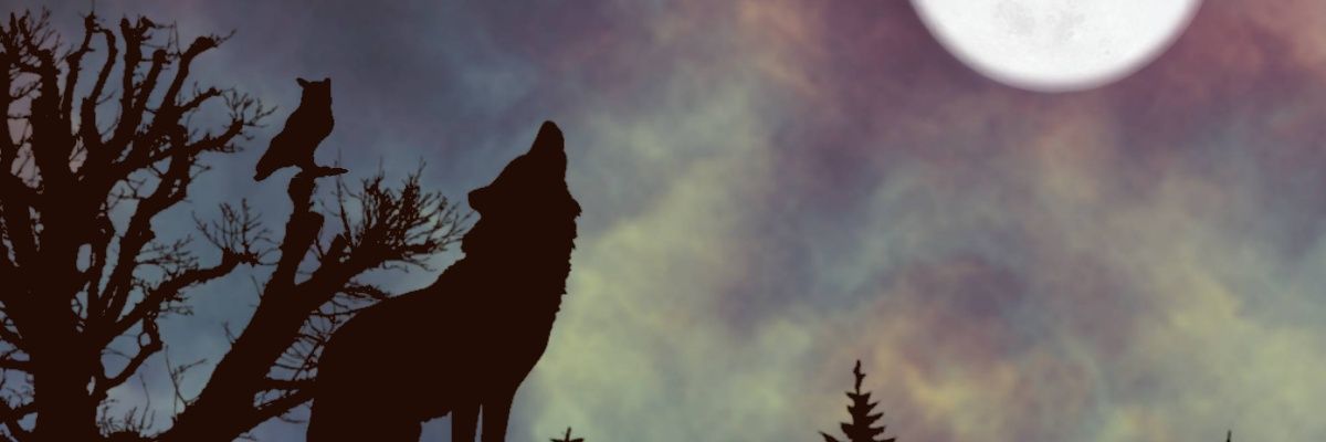 BloodMutt's profile banner image