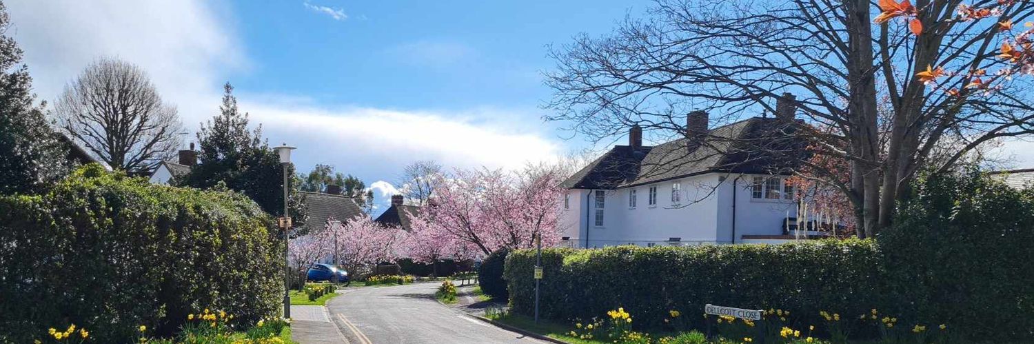 Lewis Robinson banner