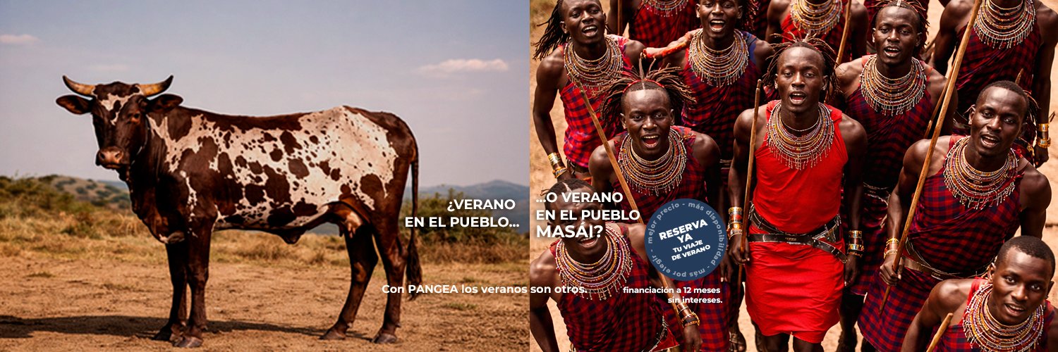 PANGEA The Travel Store banner