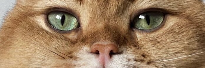 nozhenko__'s profile banner image