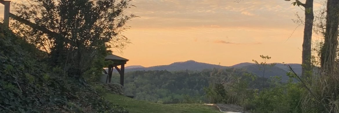 cbombsworld's profile banner image