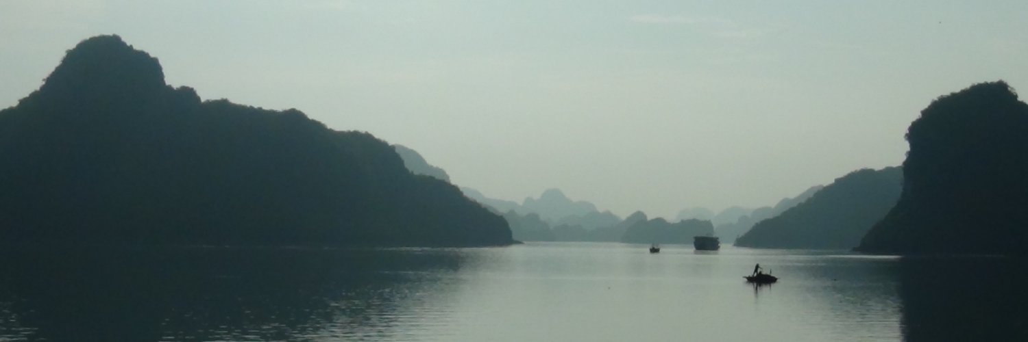 Nicolas Fleury banner