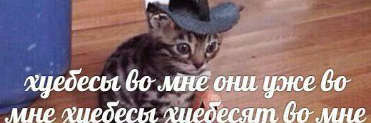 immaterial աղջիկ 🦇 banner