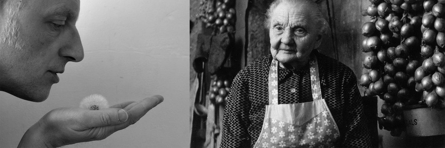 Simon Puriņš banner